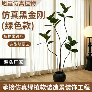 �����ɫ��Ƥ���k�������P�b���ؾGֲ�̈��쾰����ڽ�����Ƥ��