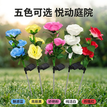 �¿�̫���õ�廨�������������@�b�5�^õ����滨��ƺͥԺ��