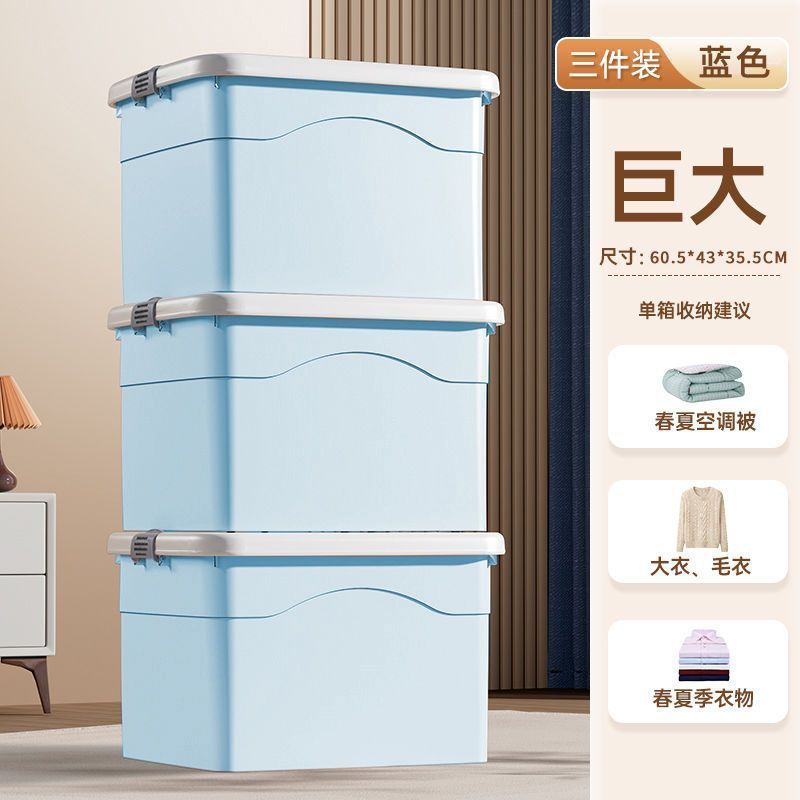 가성비 [3개입] 거대한 사이즈