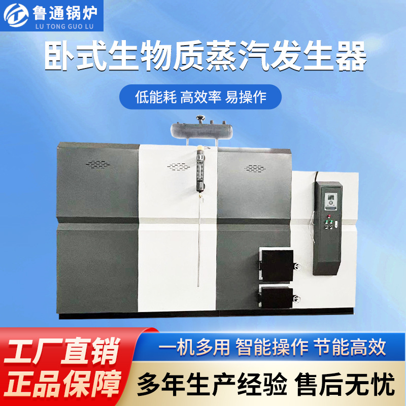 生物质蒸汽发生器厂家供学校医院宾馆采暖养殖洗浴用蒸汽锅炉