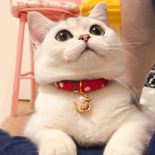 Japanese style cat bell cute necklace cat collar adjustable cat bell dress up pet cat supplies accessories