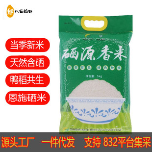 2025��ʩ��Դ���׸������׺����i�׺������׶i��5������b���l�F