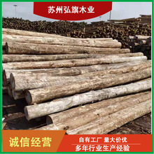 tľԭľľľľľ֗ҎRȫ