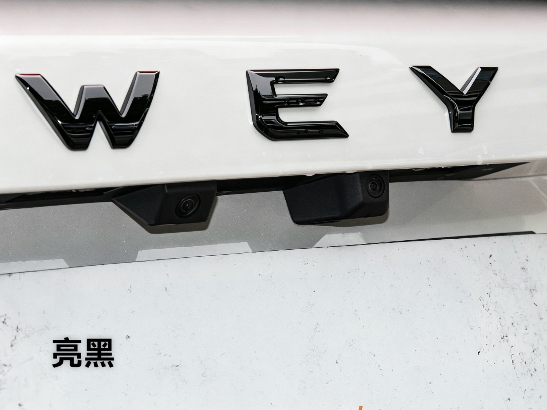 Suitable for Wey Gaoshan 7/8/9 Blue Mountain V9X Blackened Car Logo Wey Black Warrior Modified Car Logo Decoration