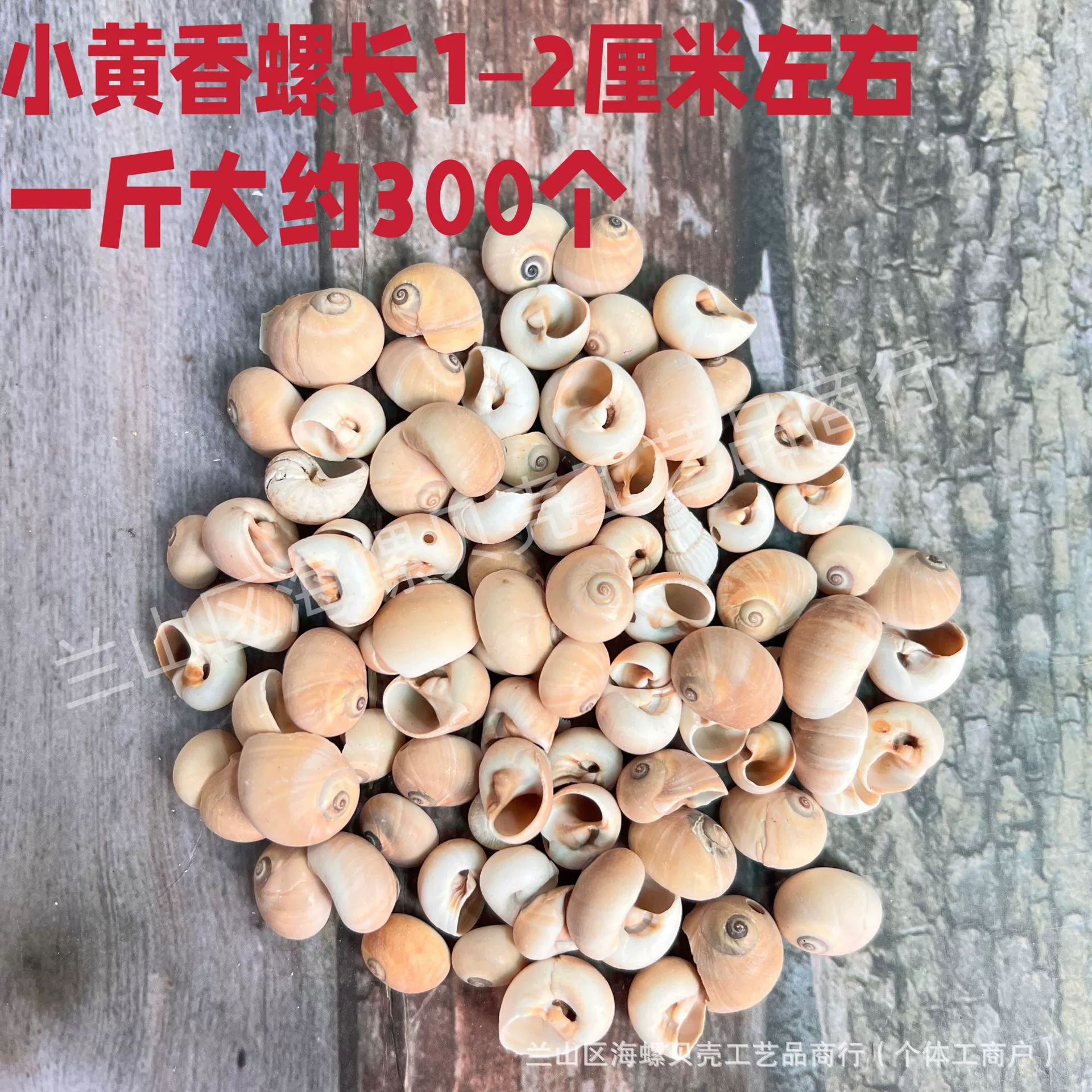 Shell Natural Shell Conch Stars Drifting Bottle Shell Crafts Wholesale Diy Handmade Shell Materials