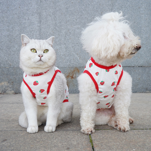 Pet it Thin Pet Vest Anti-Shedding Dog Clothes Large Dog Teddy Cat Corgi French Bulldog Clothing Wholesale