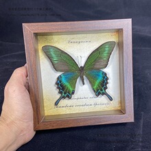������˱���� ľ�|�b�DIY�͹����[̨�Ҿ��b����նY��YƷ