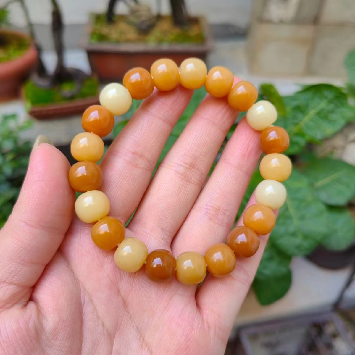 11x10mm 잎 가을 황금빛 가을