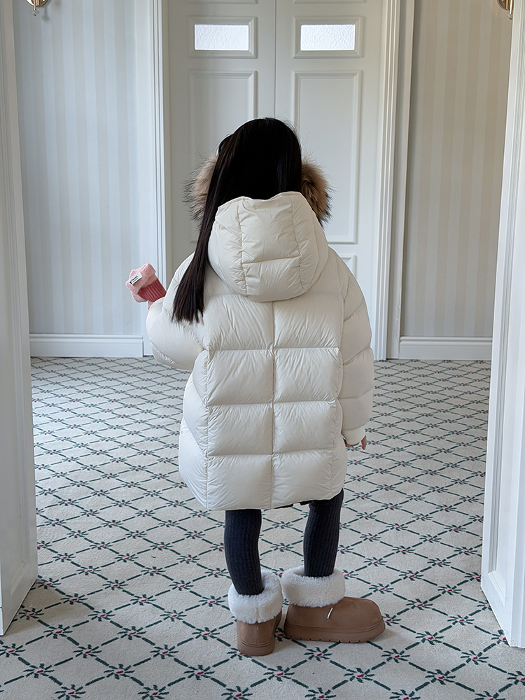 2025-11-23 095055.jpg