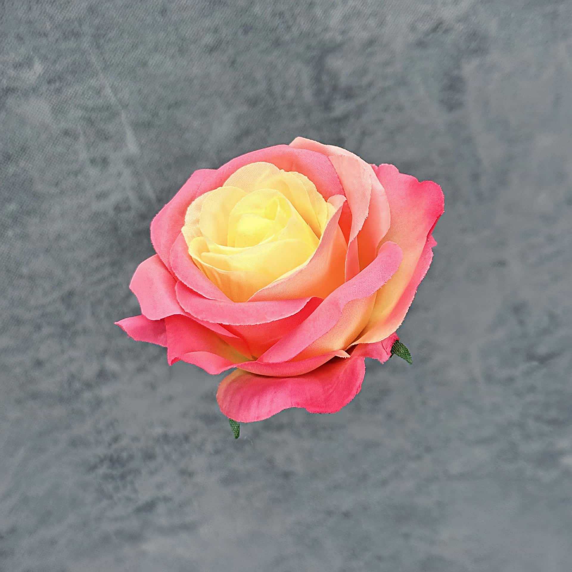 Rosa artificial flor cabeza boda hogar Fondo pared decoración flor artificial multicolor corsage transfronterizo flor falsa en stock venta al por mayor