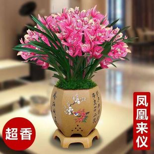 �����ذl؛�����B������m�������Ԏ��������mī�m�������҃��m��