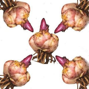 һ�����l��ˮ�ٺϷN��ٺϻ��N�ӻ����ذ�ٺϻ��҃��̨���Ե���