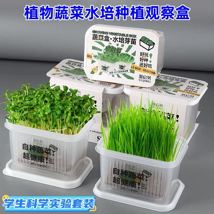 Набор для школьных научных экспериментов: коробка для наблюдения за выращиванием съедобных растений, проращивание семян без почвы