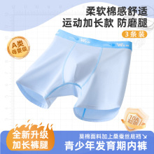 10A抑菌加长防磨男孩内裤青少年棉内裤桑蚕蛋白里裆中腰男四角裤