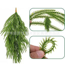 �羳ܛ�z�o��ζ����10���֦������ᘎ��F�����w���֦�}�Q����֦