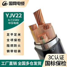 厂家批发电缆线1 3芯50 95平方国标电线中高压铠装纯铜芯YJV电缆