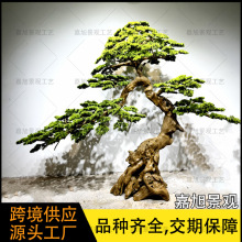 ����ӭ���ɴ��͌�ľ�U�ɘ��쾰�҃���������ɘ�����_�h�ɾ��^