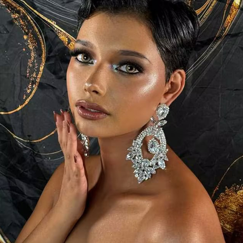 Cross-Border Popular Water Drop Pendant Earrings for Women, Exaggerated Heavy-Duty High-End Design Rhinestone Earrings, Stage Banquet Earrings