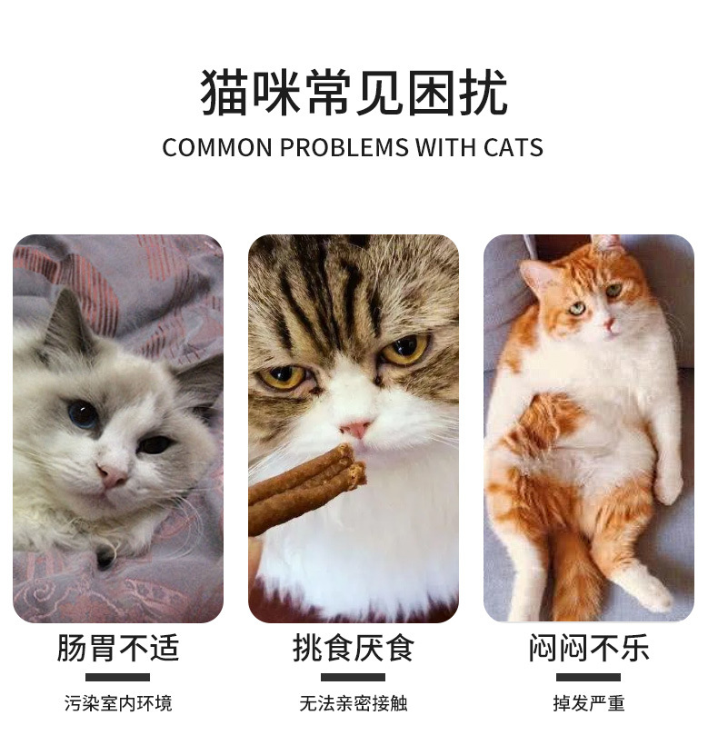 猫条_02.jpg