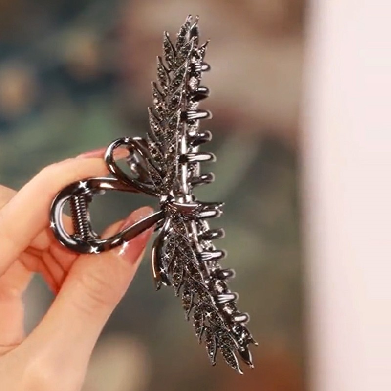 IMG_3421(20241013-124824)