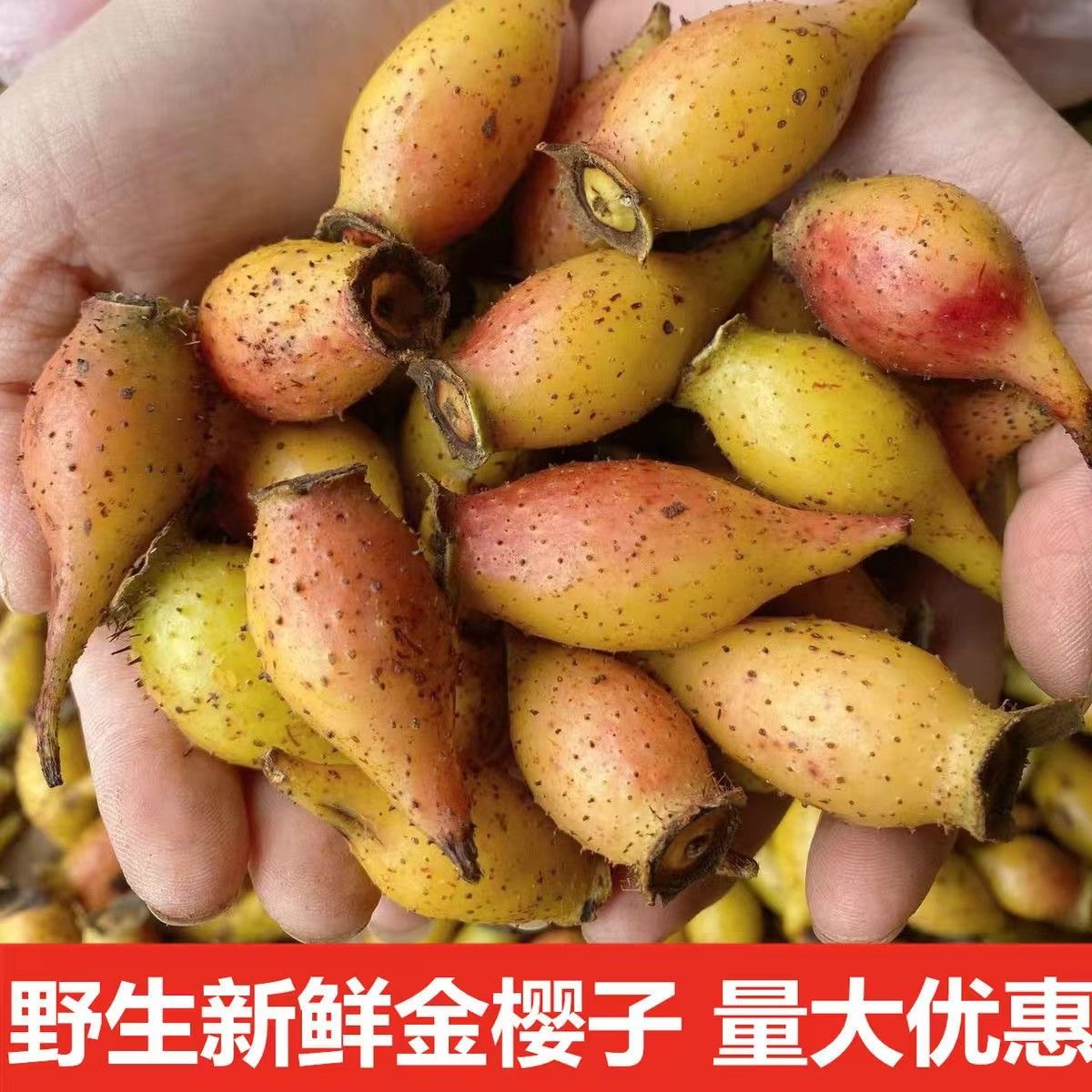 现摘新鲜野生现摘刺梨鲜货鲜果野生正品泡酒泡茶配料批发