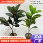 盆栽景观家居仿真绿植