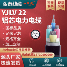 廠家直供 YJLV22高壓鎧裝鋁單芯電纜