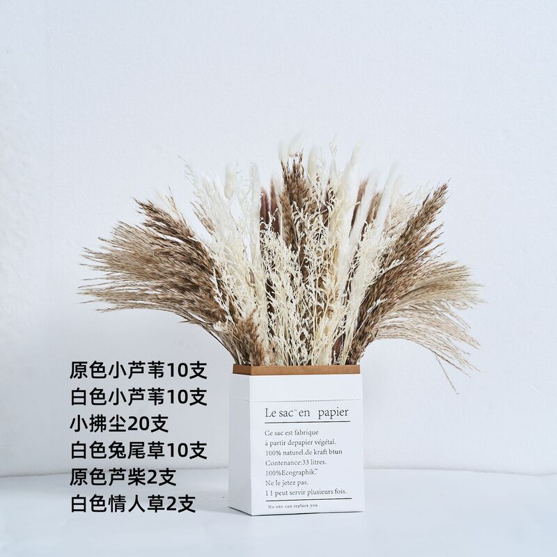 アマゾンはよく売れています。葦の花の花束です。|undefined