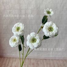 仿真6头金盏菊婚礼堂路引绢花道具装饰花卉摆放蒂芙尼蓝仿真花材