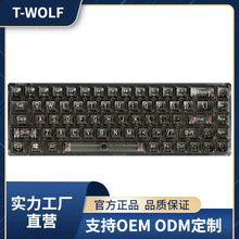 T-WOLFT40͸CеIP68IRGB늸ΑƻˮtS