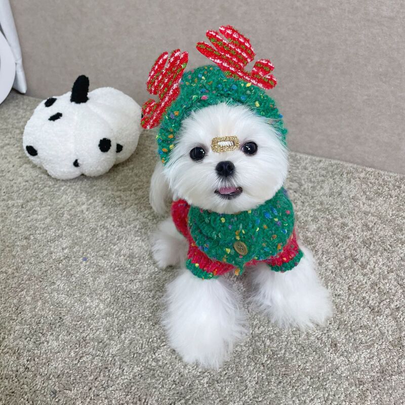 Christmas Pet Clothes Creative Luminous Autumn and Winter Warm Knitted Sweater Vest Schnauzer Bichon Cross-Border Wholesale