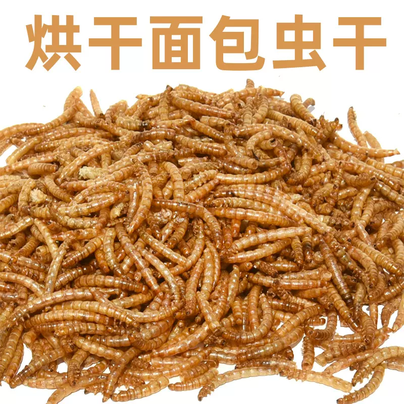面包虫干黄粉虫干仓鼠零食金丝熊粮食刺猬鱼鸟食饲料用品500克