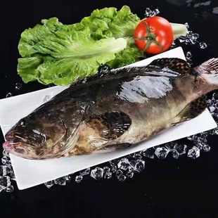 �|ɽ�uҰ�����ʯ�ߝO��đʯ�����yʯ���ϻ��ߖ|�ǰ����ʯ���~