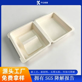 纸浆模塑;纸盒;其他纸类包装