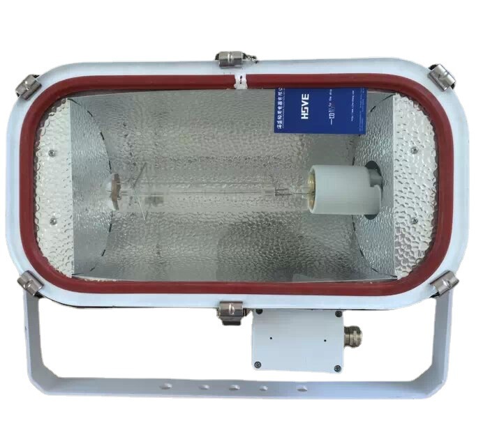 Marine stainless steel floodlight TG4/TG5/TG15TG6/TG24/TG25/400W sodium lamp 500W halogen