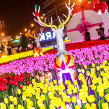 户外发光郁金香灯 发光花景观灯花海情人节户外装饰地插灯