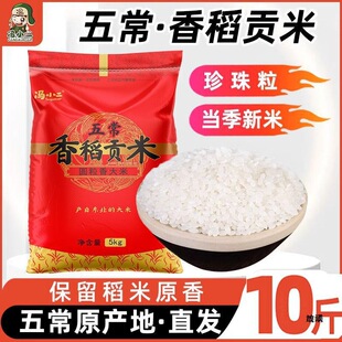 �TС���|���㵾ؕ��5kg*1�������׉�˾F��؛�b��ͥ�b�|�����l