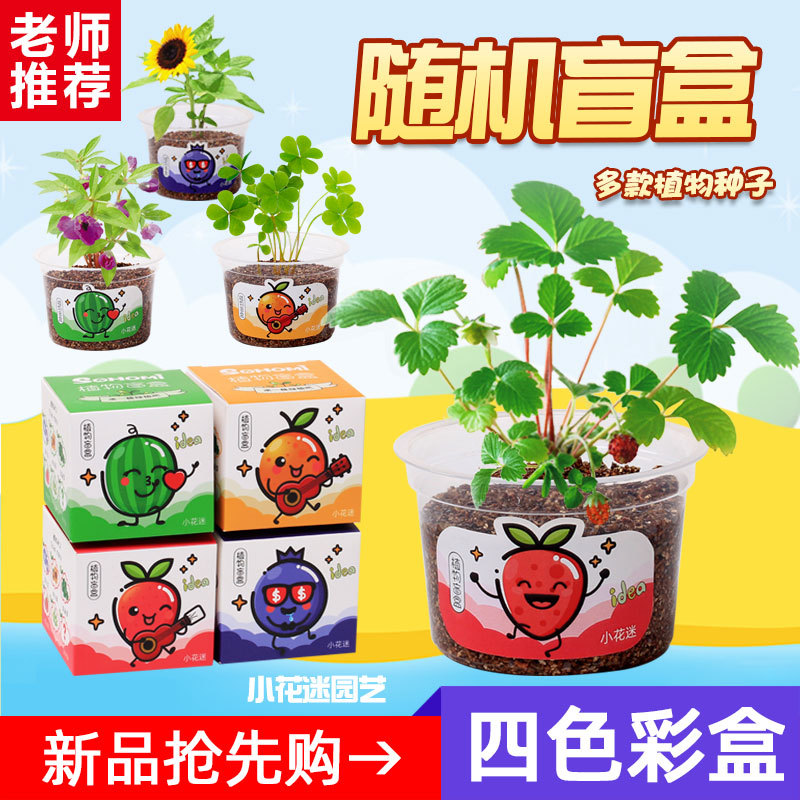 Caja ciega de plantación de maceta pequeña para niños, jardín de infantes mini granja de flores, observación de crecimiento de plantas para estudiantes de primaria, caja de semillas de germinación image 11