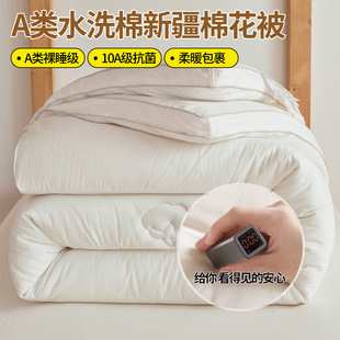 Class a Xinjiang Cotton Quilt Winter Thickeneded Winter Quilt Pure Cotton Warm Quilt Core Single Spring & Fall Quilt Dormitory Quilt