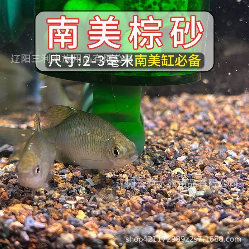 2-3mm 남미 갈색 모래 2.5kg