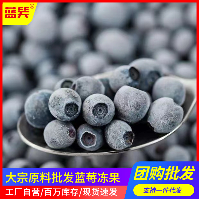 蓝莓冻果厂家现货速冻蓝莓果原料