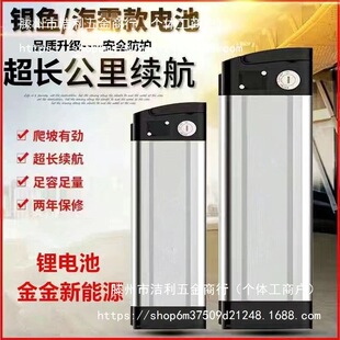 48v鋰電池銀魚款海霸款電動車鋰電池代駕車通用款大容量