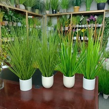 �����JȔ����ֲ������[���Ե����b[�����Է��滨�JȔ���[��