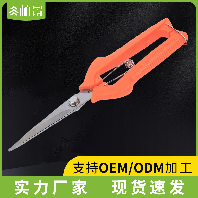 Fruit picking tijeras de acero inoxidable Fruit delgado Fruit picking ramas Fruit picking tijeras horticultura bonsai herramientas tijeras de verduras y frutas