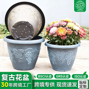 �羳�¹��~���ϻ���ͥԺ�Nֲ��Ӻ�͸���̖�͹����Ѹ����֬����