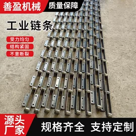 输送机;传动链;网带