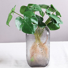 水生植物盆栽 水生植物盆栽批发 促销价格 产地货源 阿里巴巴