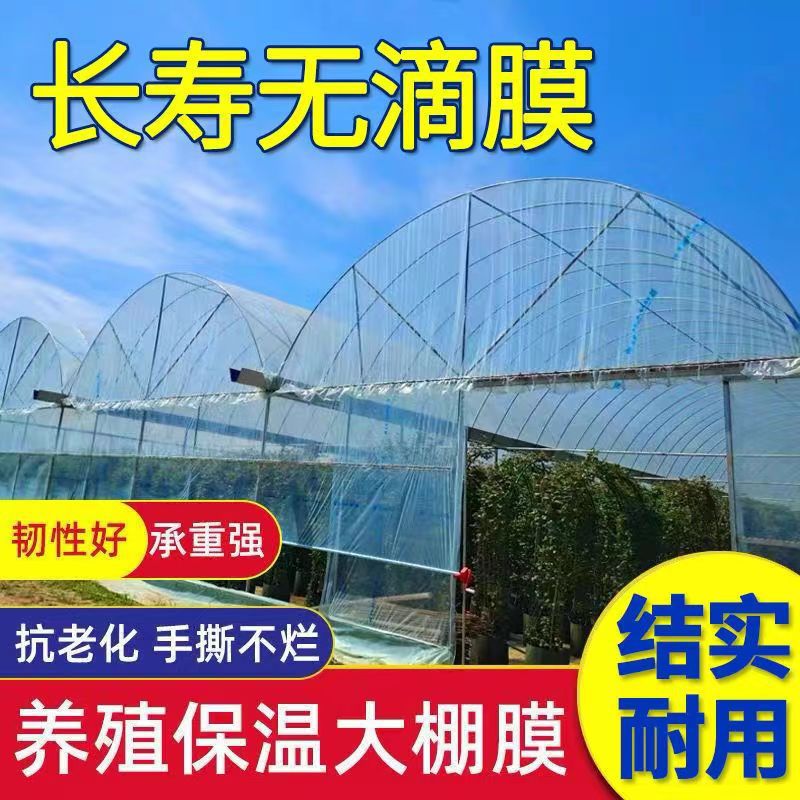 大棚膜无滴膜大棚专用塑料膜透明塑料布农用塑料薄膜加厚防水po膜