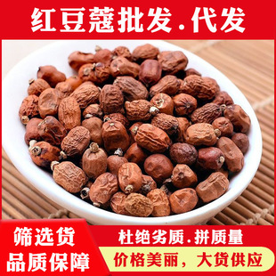 �t��ޢ�������l��؛�t��ޢ��ș�ļt�� �����u�˻���{ζ�������l