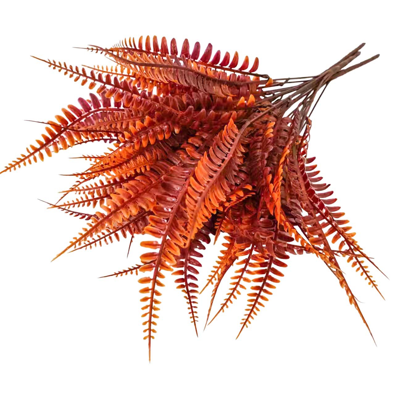 微信图片_20230610103101